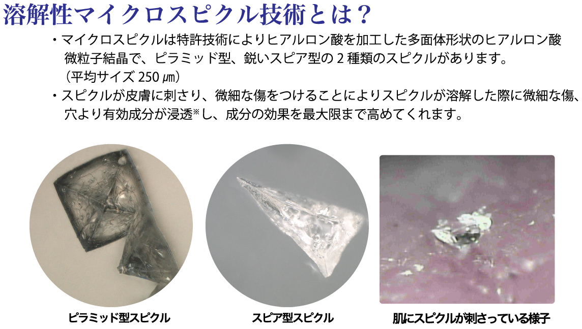スパトリートメントeX ルーススピクル | 株式会社ウェーブ
